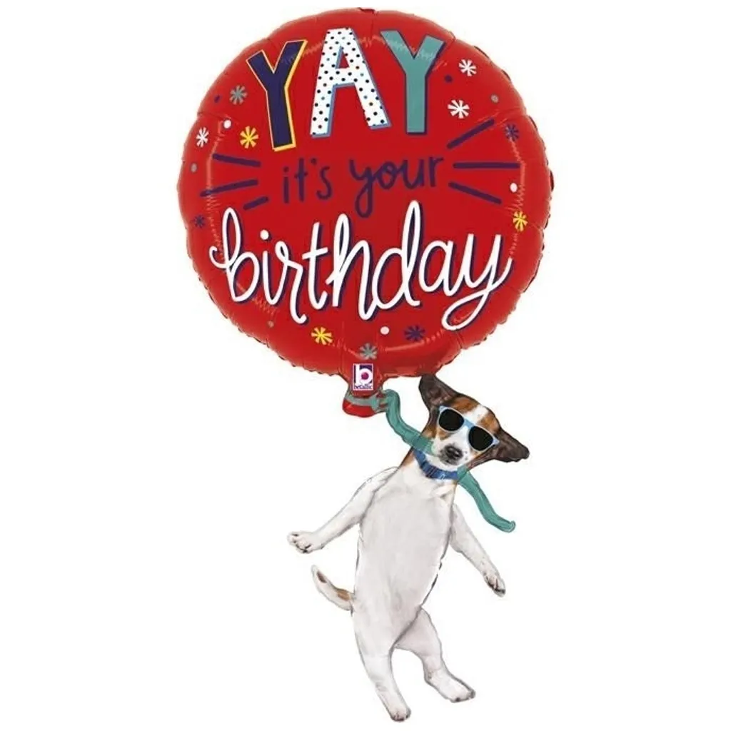 Luftballon, Geburtstag, Hund, Ballon, Party