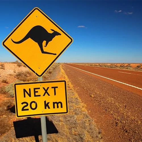 Koala, Warnzeichen, Straßenschild, Wüste, Entfernungsmesser