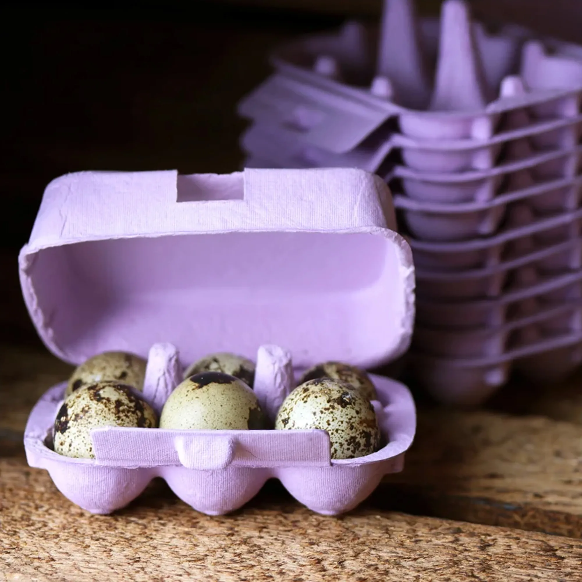 6er Eierkarton in Lavender