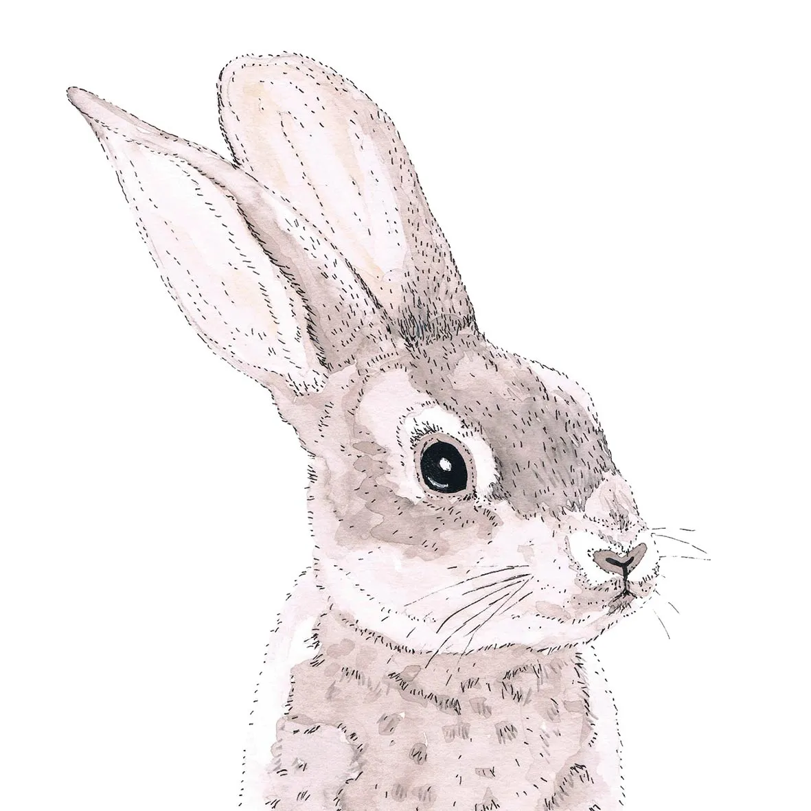 20 Servietten "Rabbit"