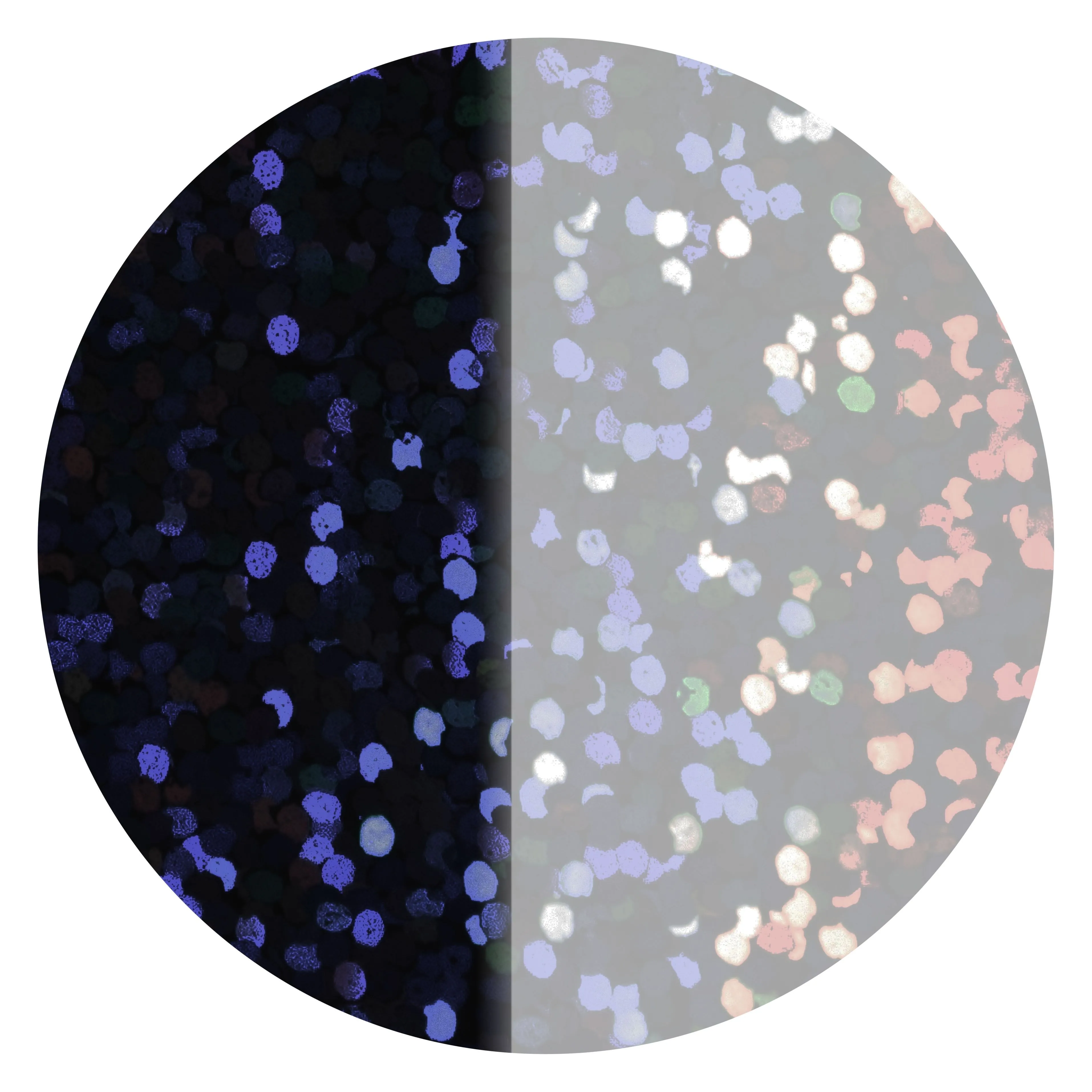 Folienkonfetti 2cm Rund 100g Holo Schwarz