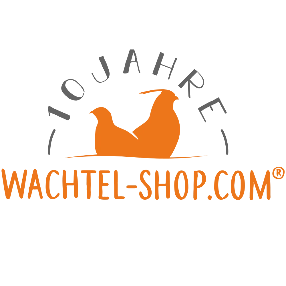 Tier, Schnabel, Vogel, Logo