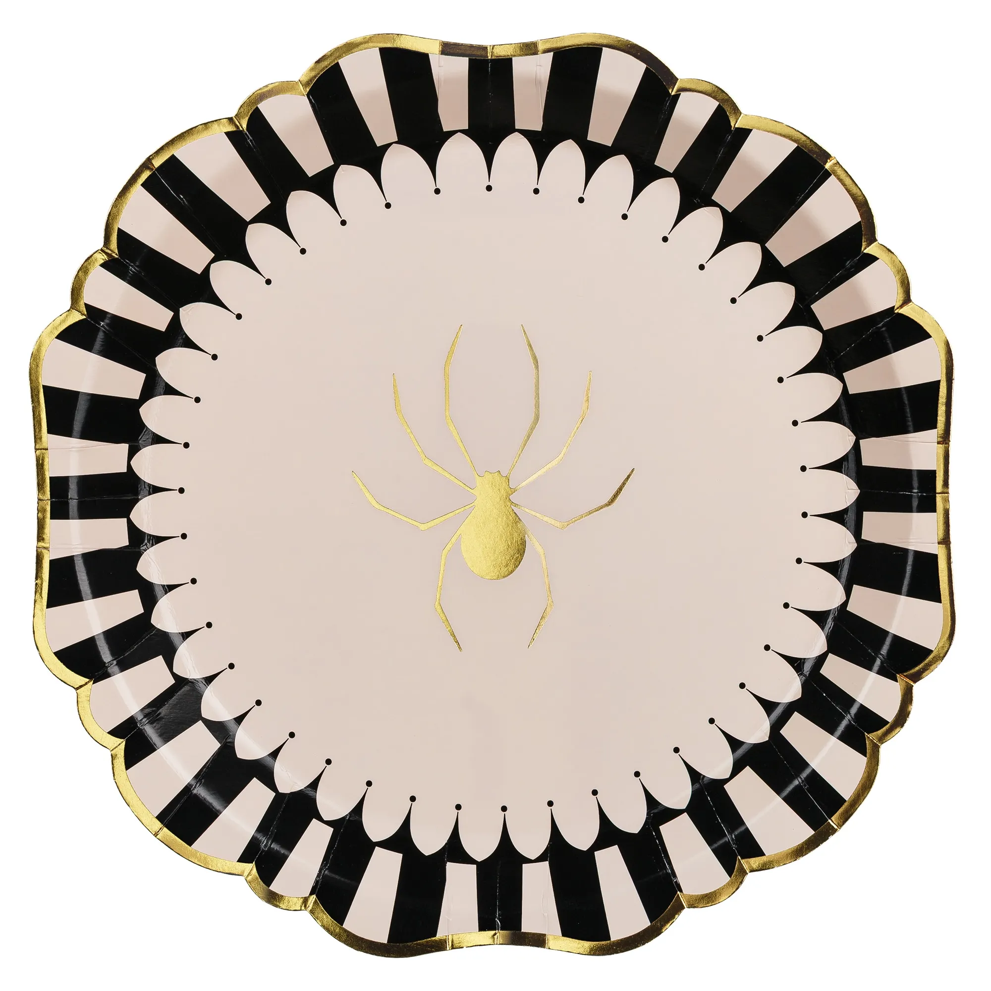 Tier, Wirbelloses Tier, Spinne, Gartenspinne, Insekt