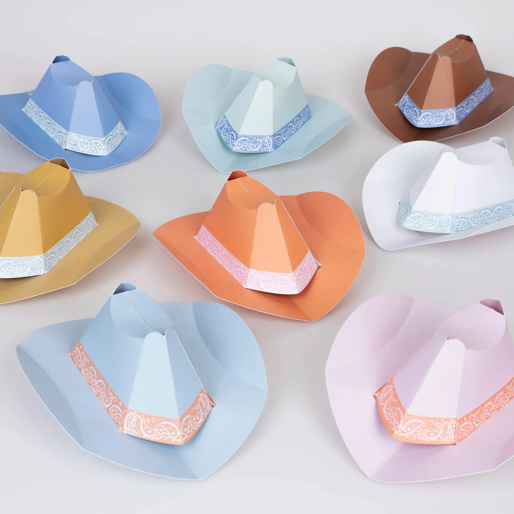 Bekleidung, Hut, Cowboy-Hut, Teller