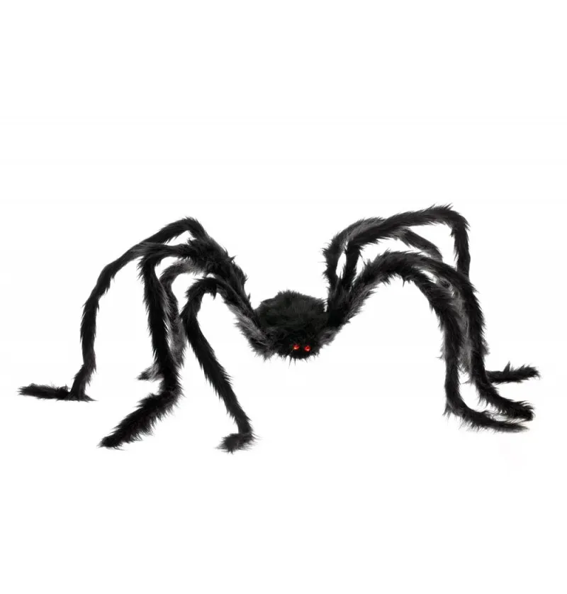 Riesen Spinne