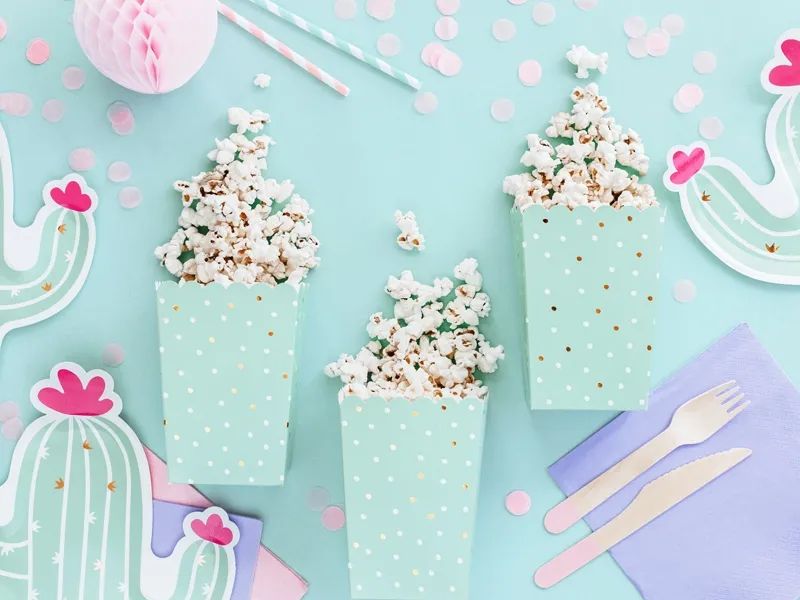 Kaktus - 6 Kaktus Popcorn-Boxen