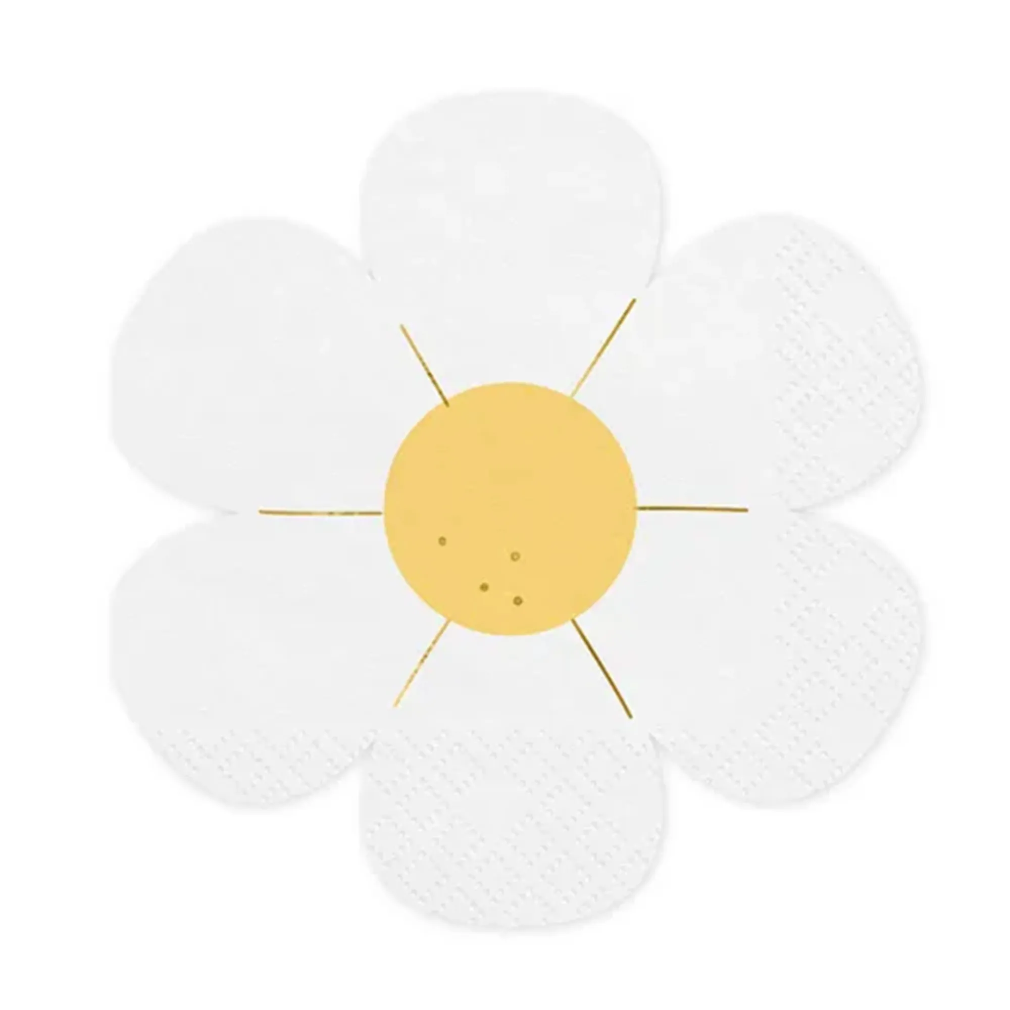 Gänseblümchen, Pflanze, Anemone, Natur, Draußen