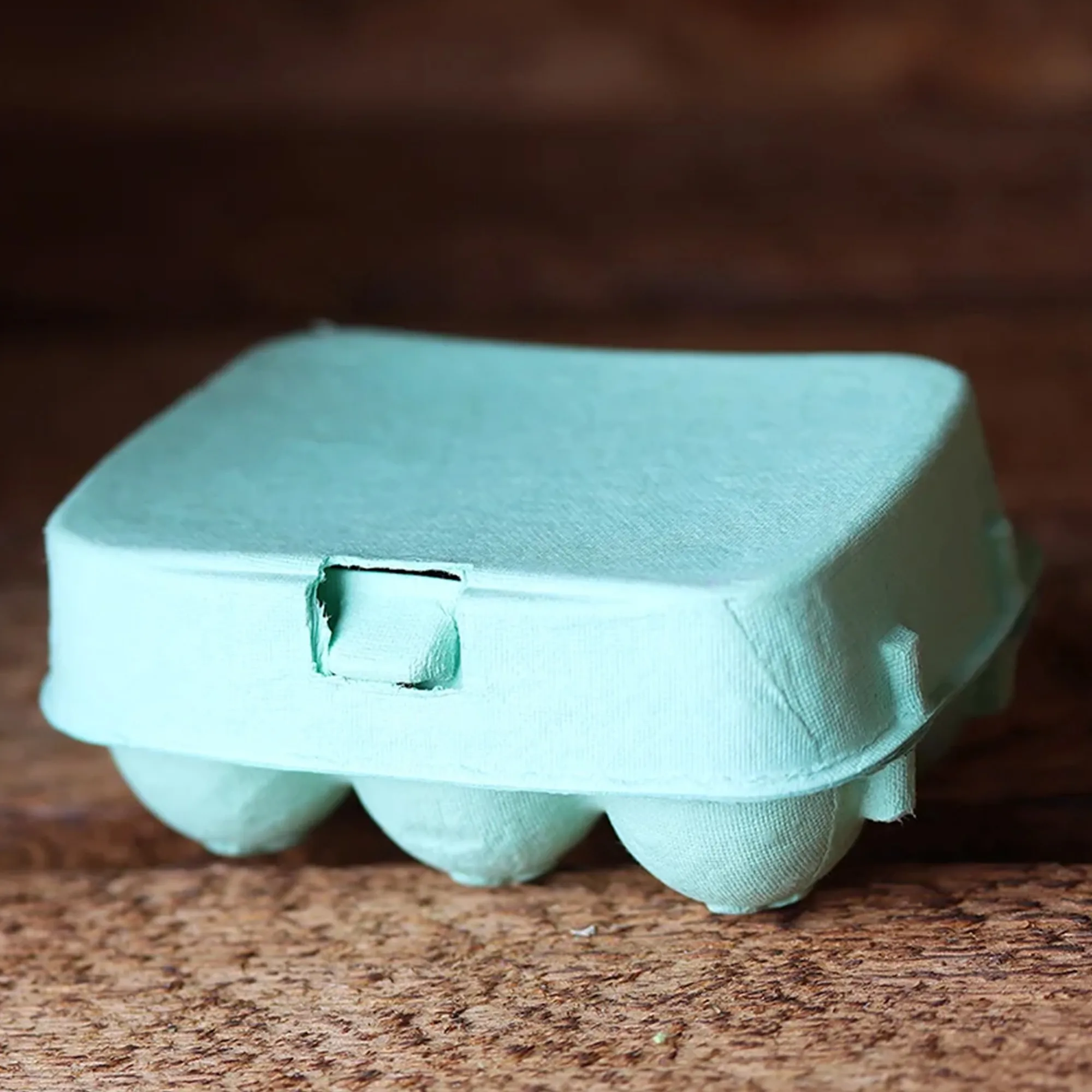6er Eierkarton in Mint
