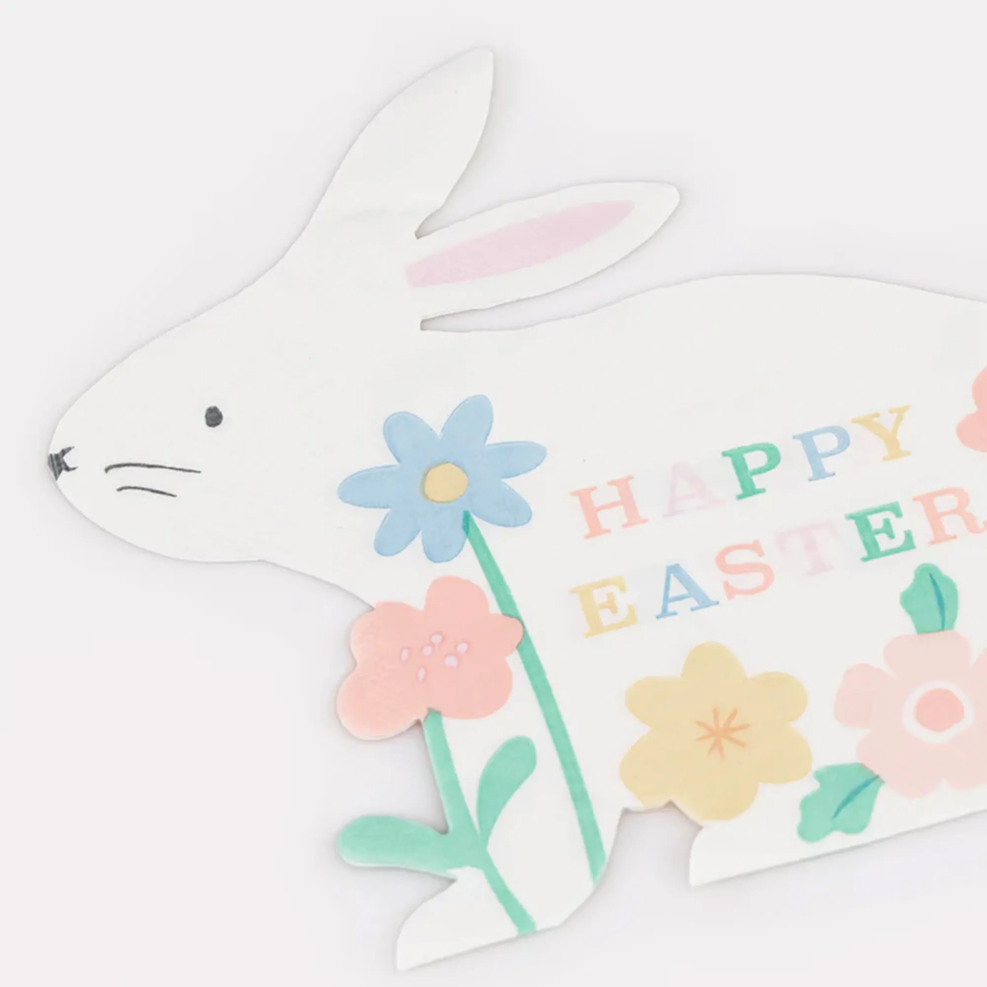 Tier, Säugetier, Hase