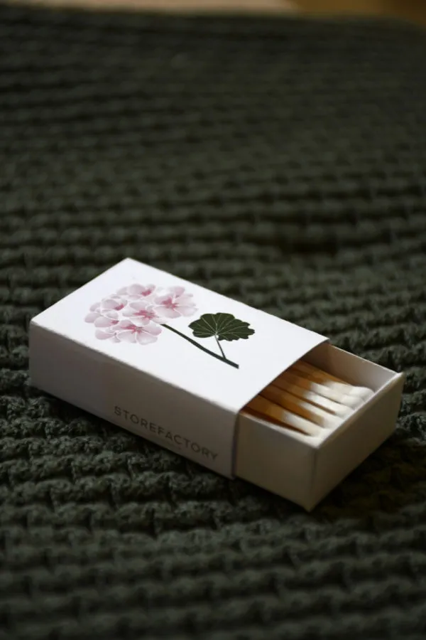 Storefactory - Pelargon Streichhözer Blume